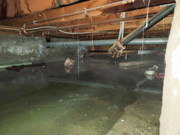 Best Sewage cleanup and water damage restoration  in Long Neck, DE