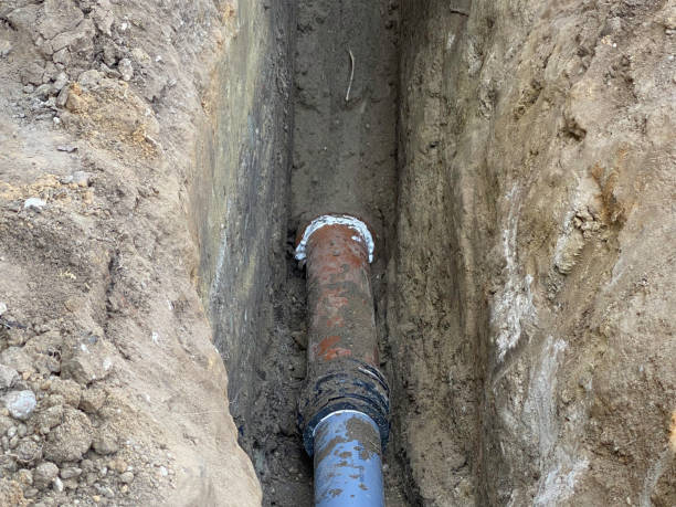Best Mold removal after water damage  in Long Neck, DE