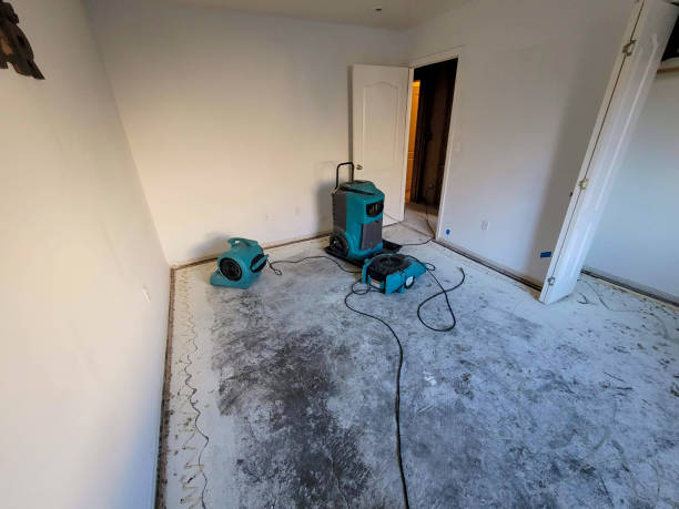 , DE Water damage restoration Company