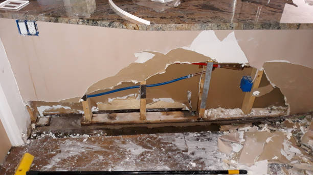 Best Water damage cleanup near me  in Long Neck, DE