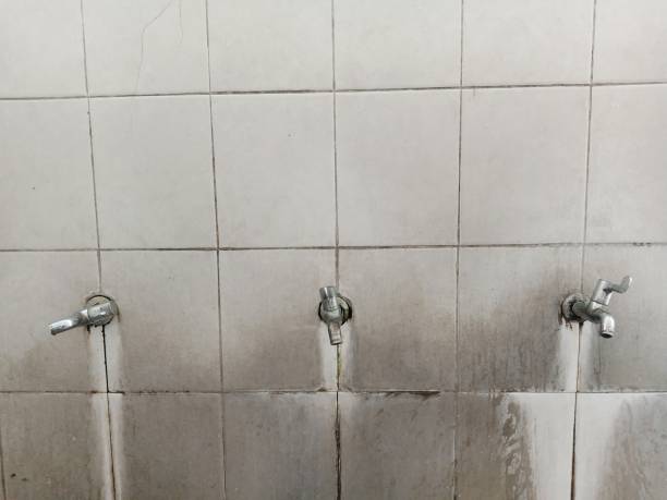 Best 24-hour water damage restoration  in Long Neck, DE