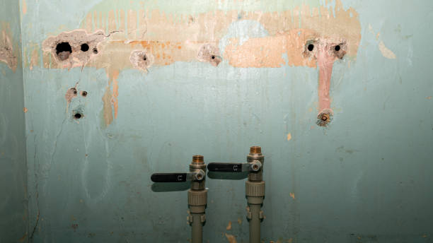 Best Sewage cleanup and water damage restoration  in Long Neck, DE