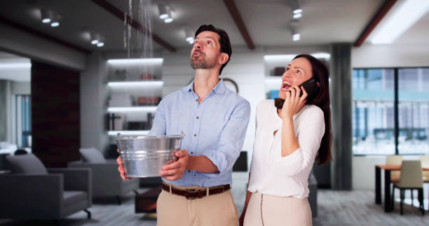 Best Flood damage cleanup  in Long Neck, DE