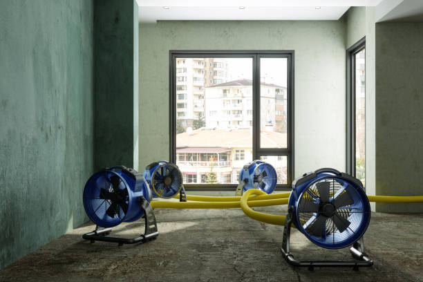 Best Residential water damage restoration  in Long Neck, DE